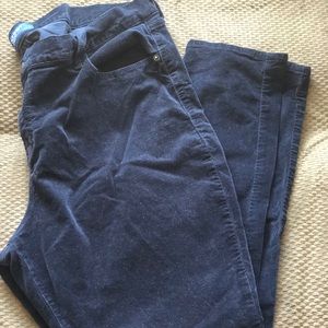 Old Navy Dark Blue Suede Pants